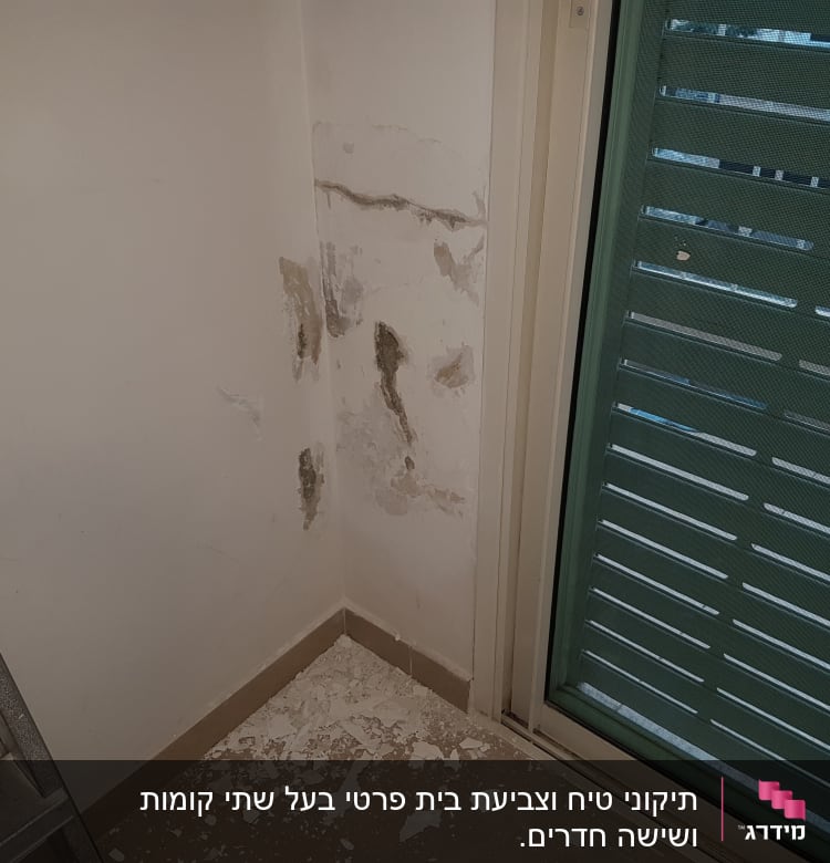 קיר עם קילופי צבע ולכלוך, סולם בצד